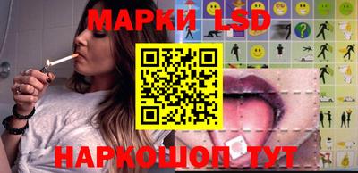 СК Тара