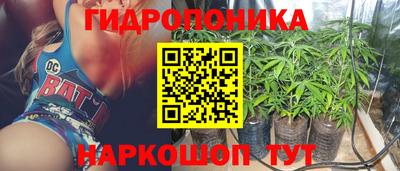 тгк Ставрополь