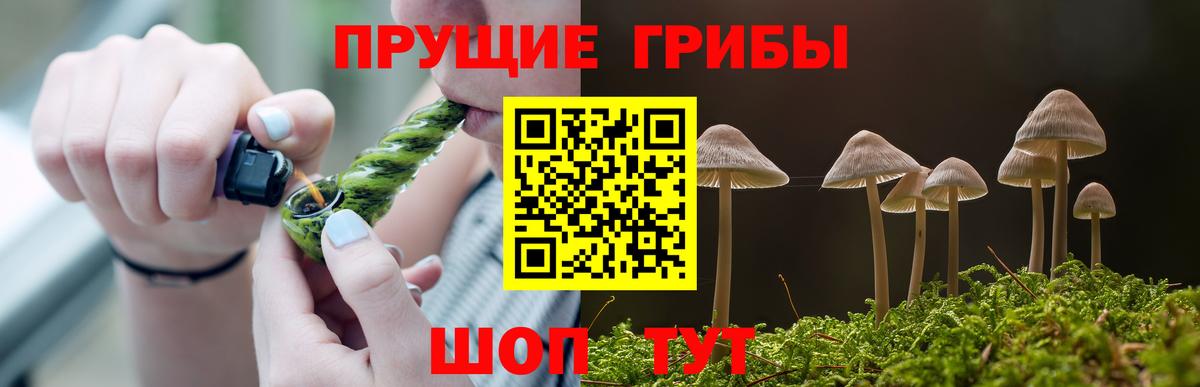 Псилоцибиновые грибы Magic Shrooms Аргун